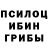 Псилоцибиновые грибы мицелий Fillipo Enzagi