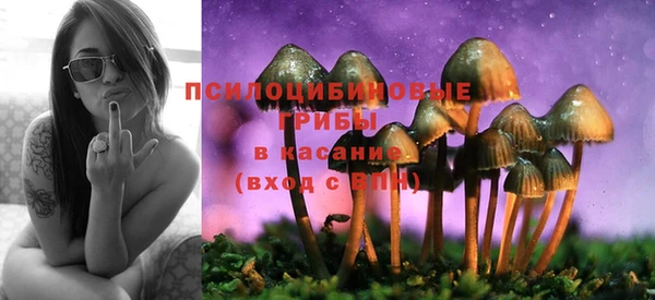 каннабис Алзамай