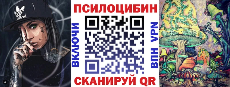 площадка наркотические препараты  Ковров  Галлюциногенные грибы Psilocybe 