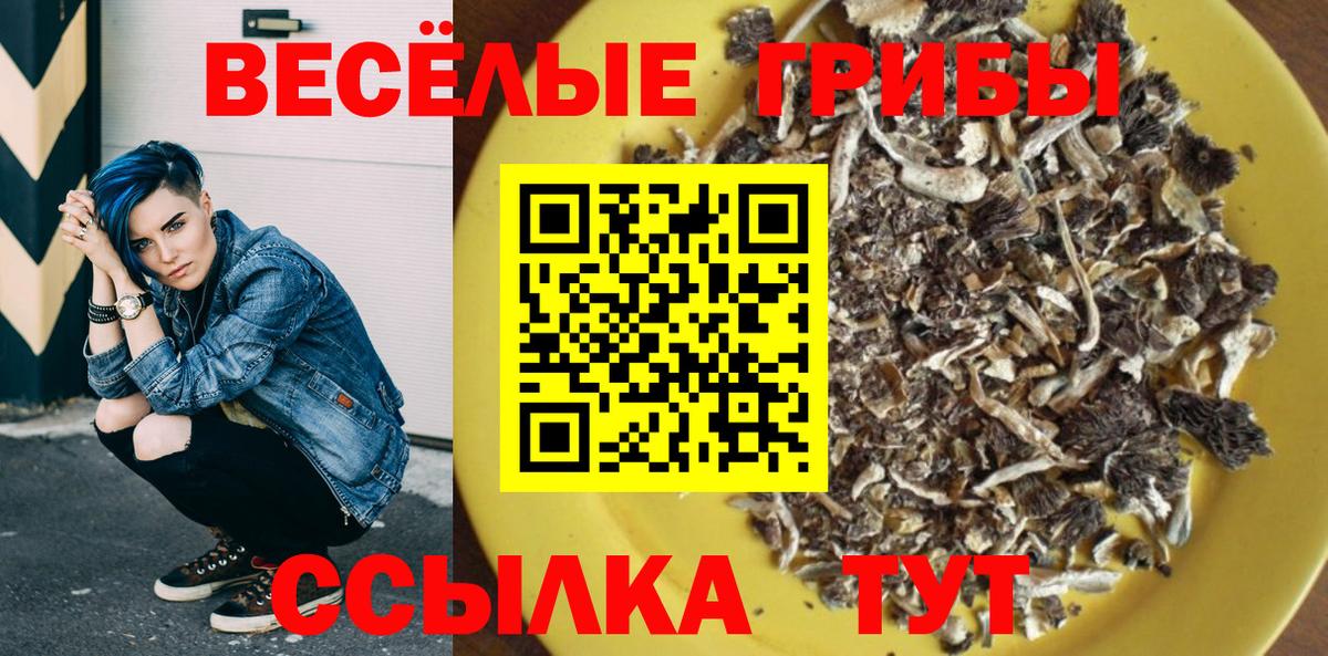 Ковров  Псилоцибиновые грибы Magic Shrooms  Вход с VPN  Галлюциногенные грибы мицелий 