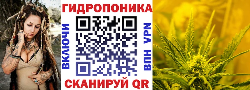 KRAKEN зеркало  Ковров  Шишки марихуана планчик 